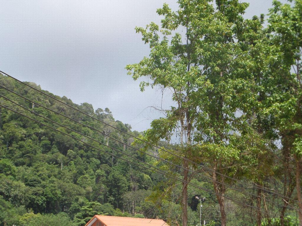 Ko Lanta 兰达特瑞彭诺威尔旅馆酒店 外观 照片